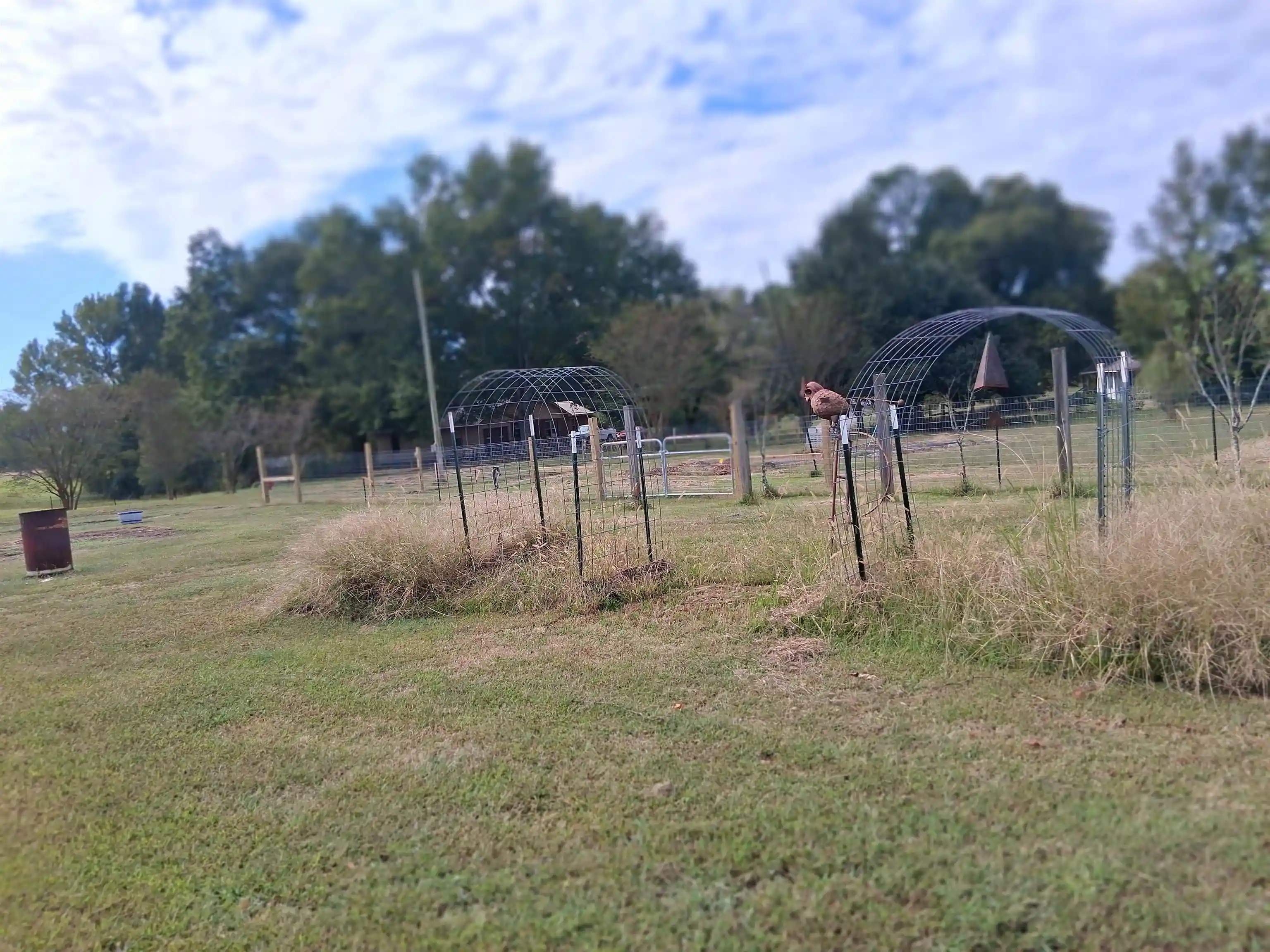 Photo 2 of Single family home for sale at 681 Cuba Ridge Rd, Phil Campbell, AL 35581 | MLS# 10232444 | Listing updated on 2026-10-27