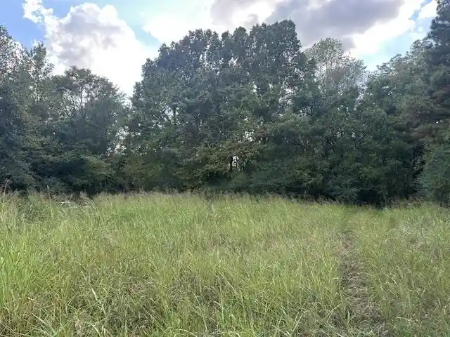 Photo 3 of Land for sale at 8991 Osborntown Rd, Arlington, TN 38002 | MLS# 10232679 | Listing updated on 2026-10-27