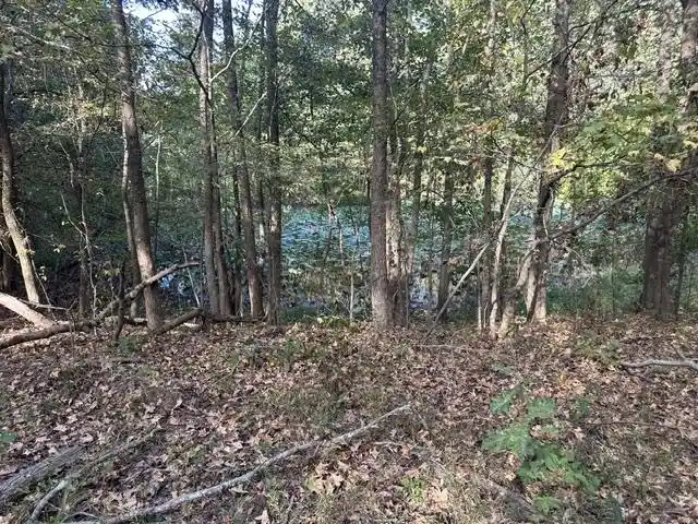 Photo 4 of Land for sale at 8991 Osborntown Rd, Arlington, TN 38002 | MLS# 10232679 | Listing updated on 2026-10-27