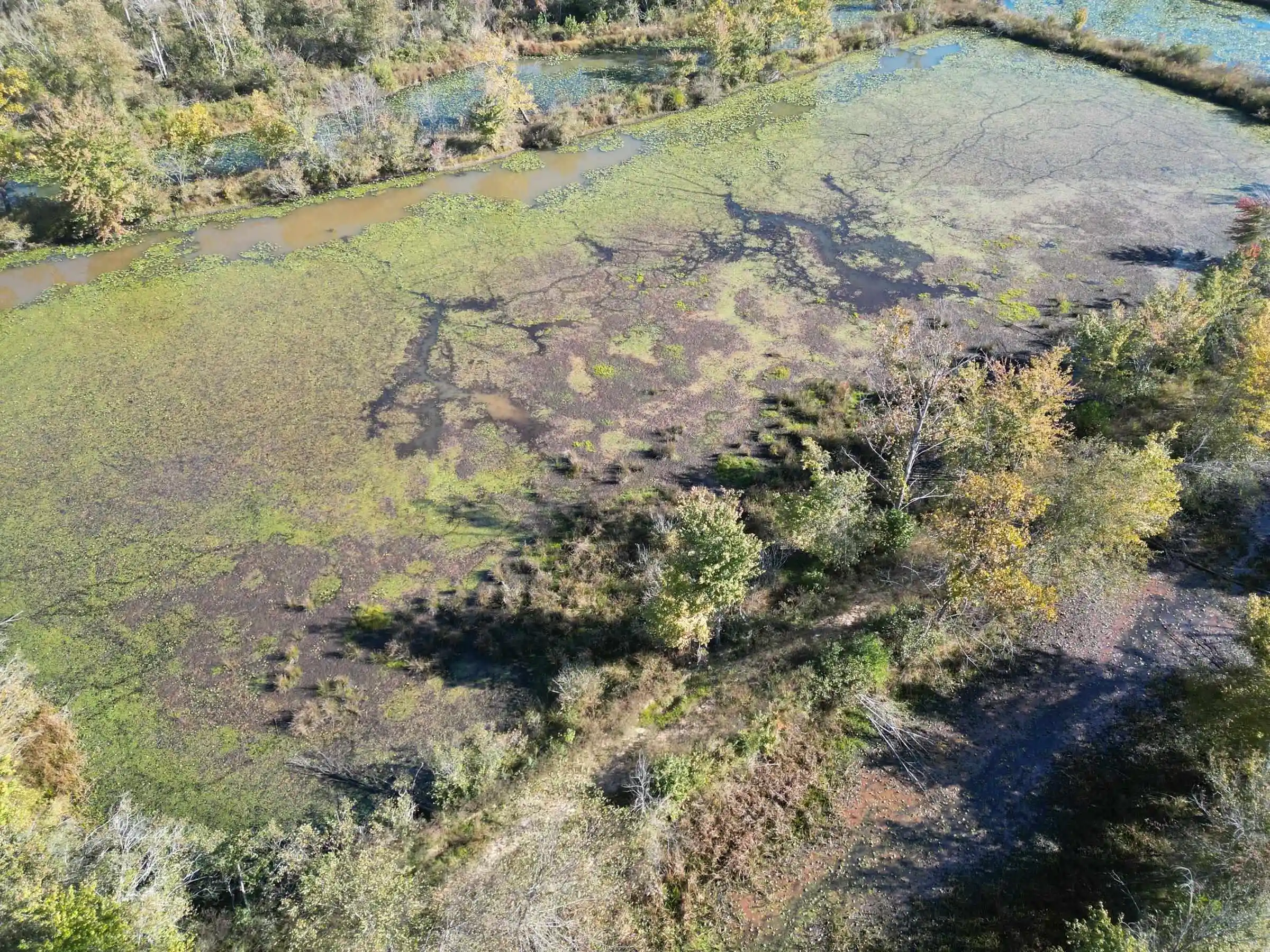 Photo 1 of Land for sale at Tract 1 Overton Loop, Medon, TN 38356 | MLS# 10232933 | Listing updated on 2026-10-22
