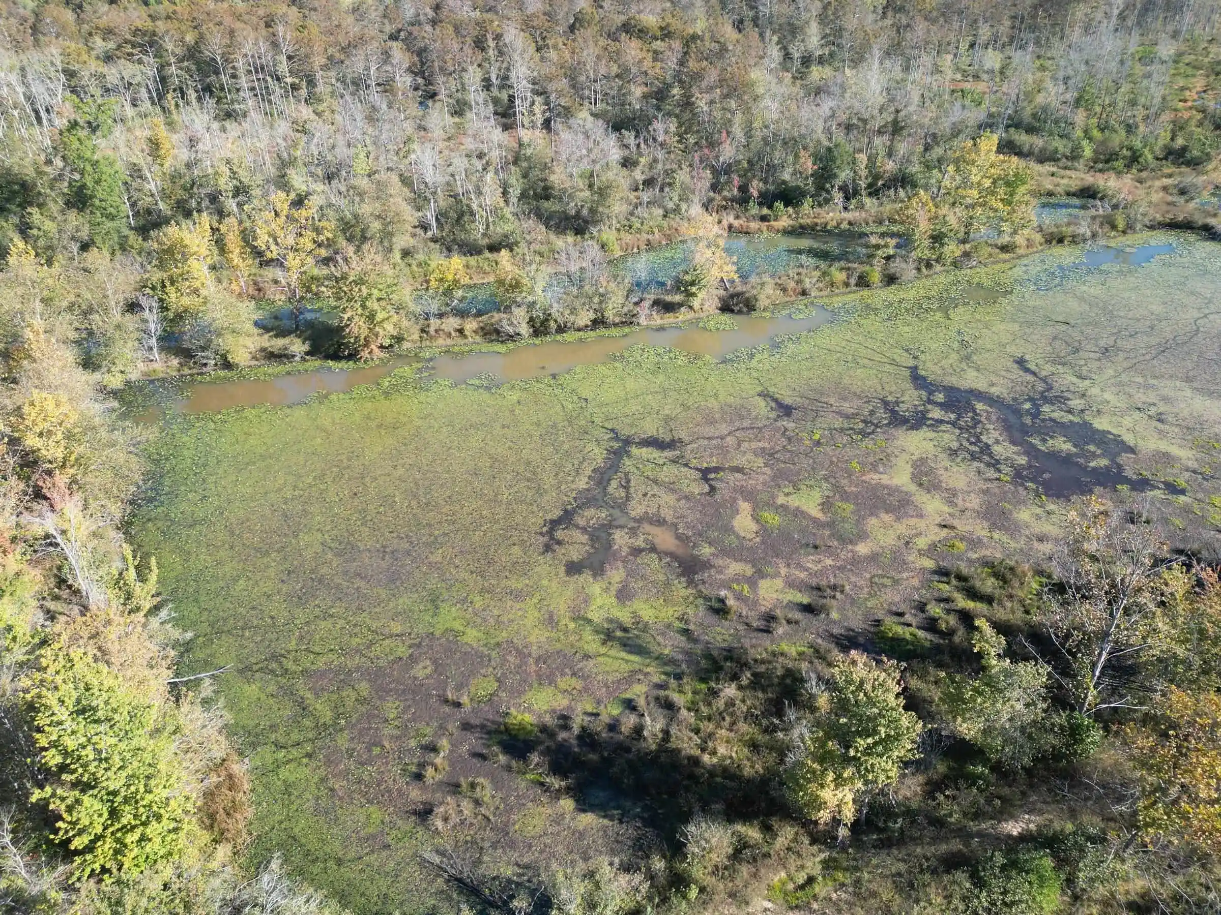Photo 4 of Land for sale at Tract 1 Overton Loop, Medon, TN 38356 | MLS# 10232933 | Listing updated on 2026-10-22