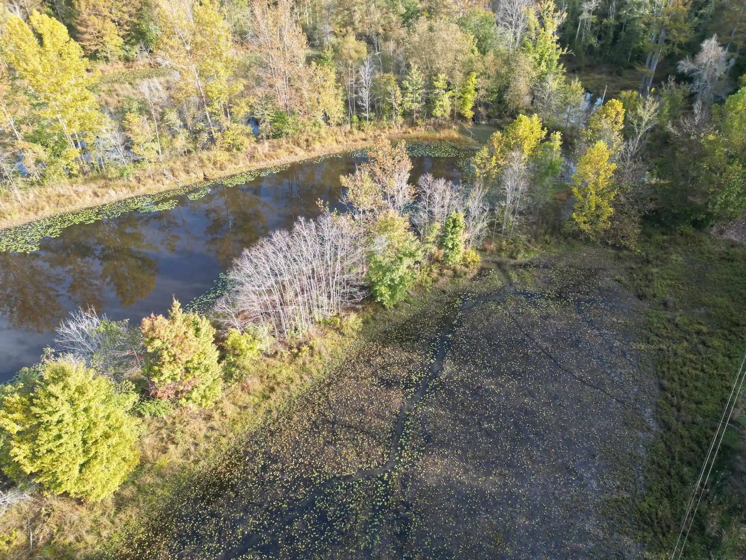 Land for sale at Tract 6 Overton Loop, Medon, TN 38356 | MLS# 10232938