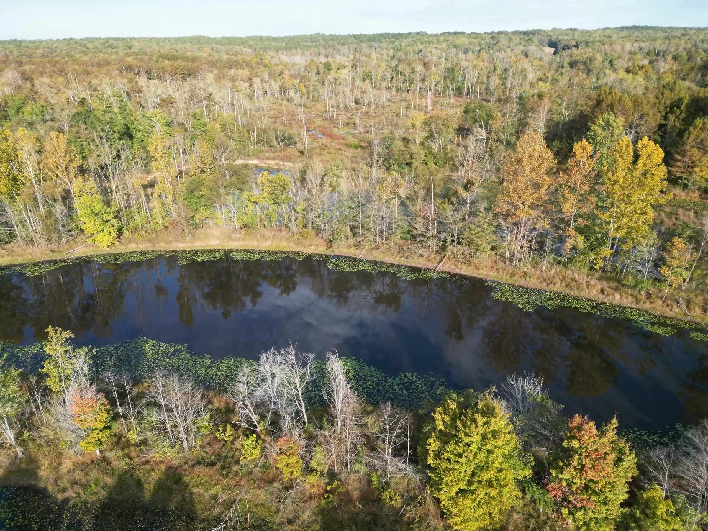 Photo 2 of Land for sale at Tract 6 Overton Loop, Medon, TN 38356 | MLS# 10232938 | Listing updated on 2026-10-22