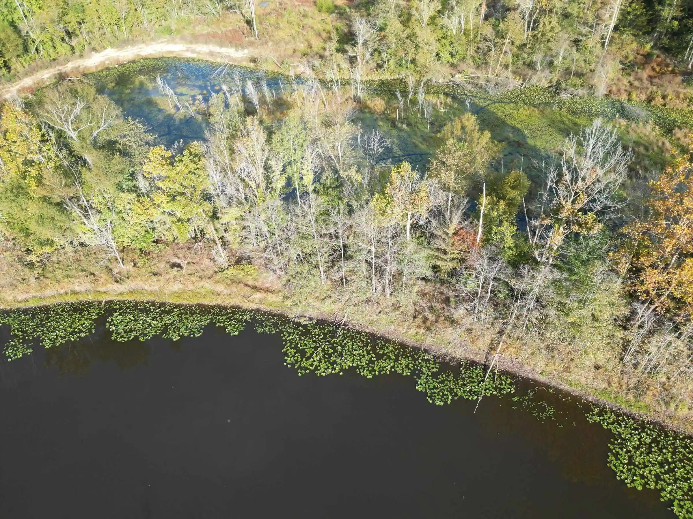 Photo 4 of Land for sale at Tract 6 Overton Loop, Medon, TN 38356 | MLS# 10232938 | Listing updated on 2026-10-22