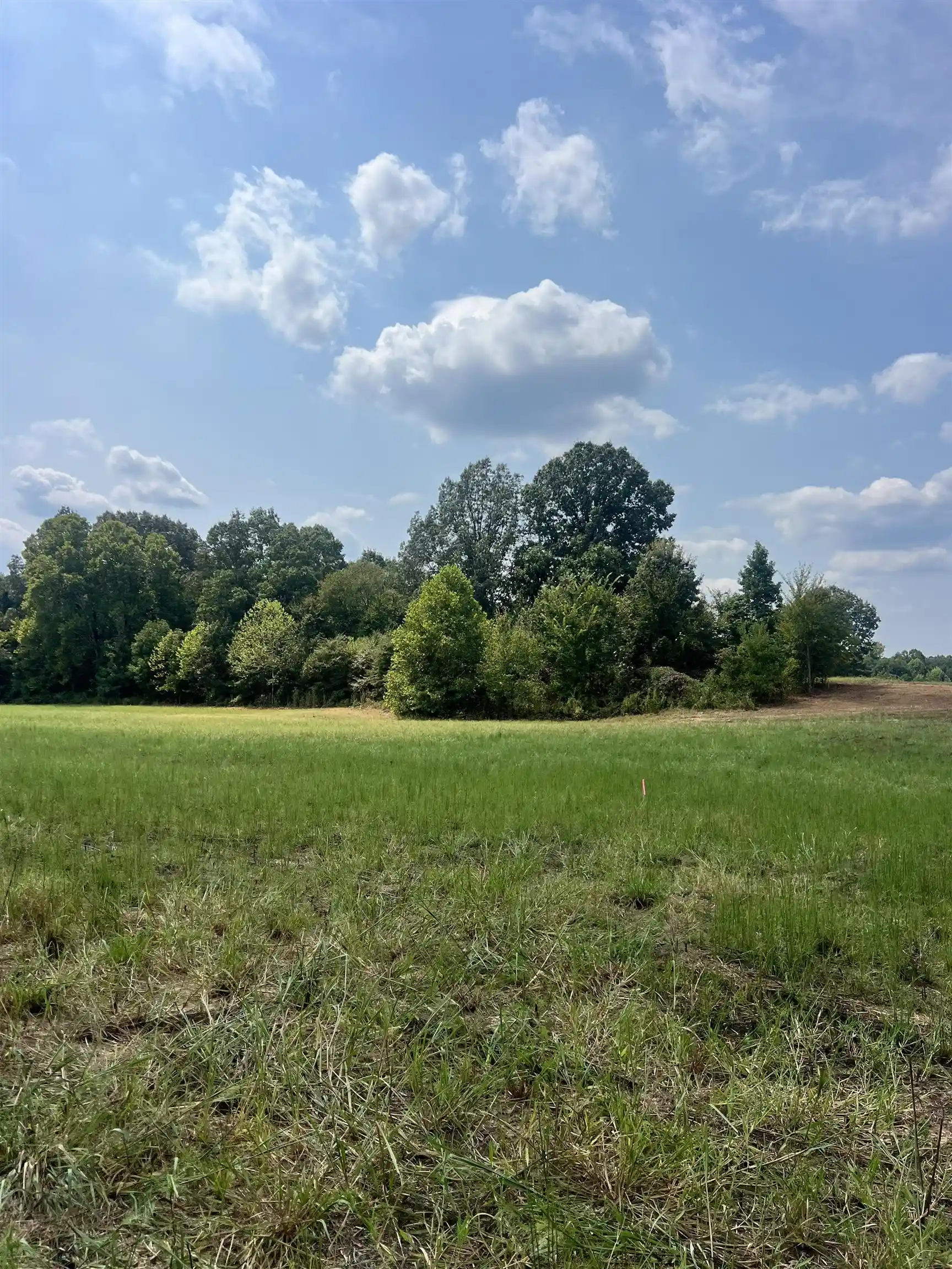 Photo 1 of Land for sale at Tract 7 Andrew Rd, Mason, TN 38049 | MLS# 10232997 | Listing updated on 2026-10-22