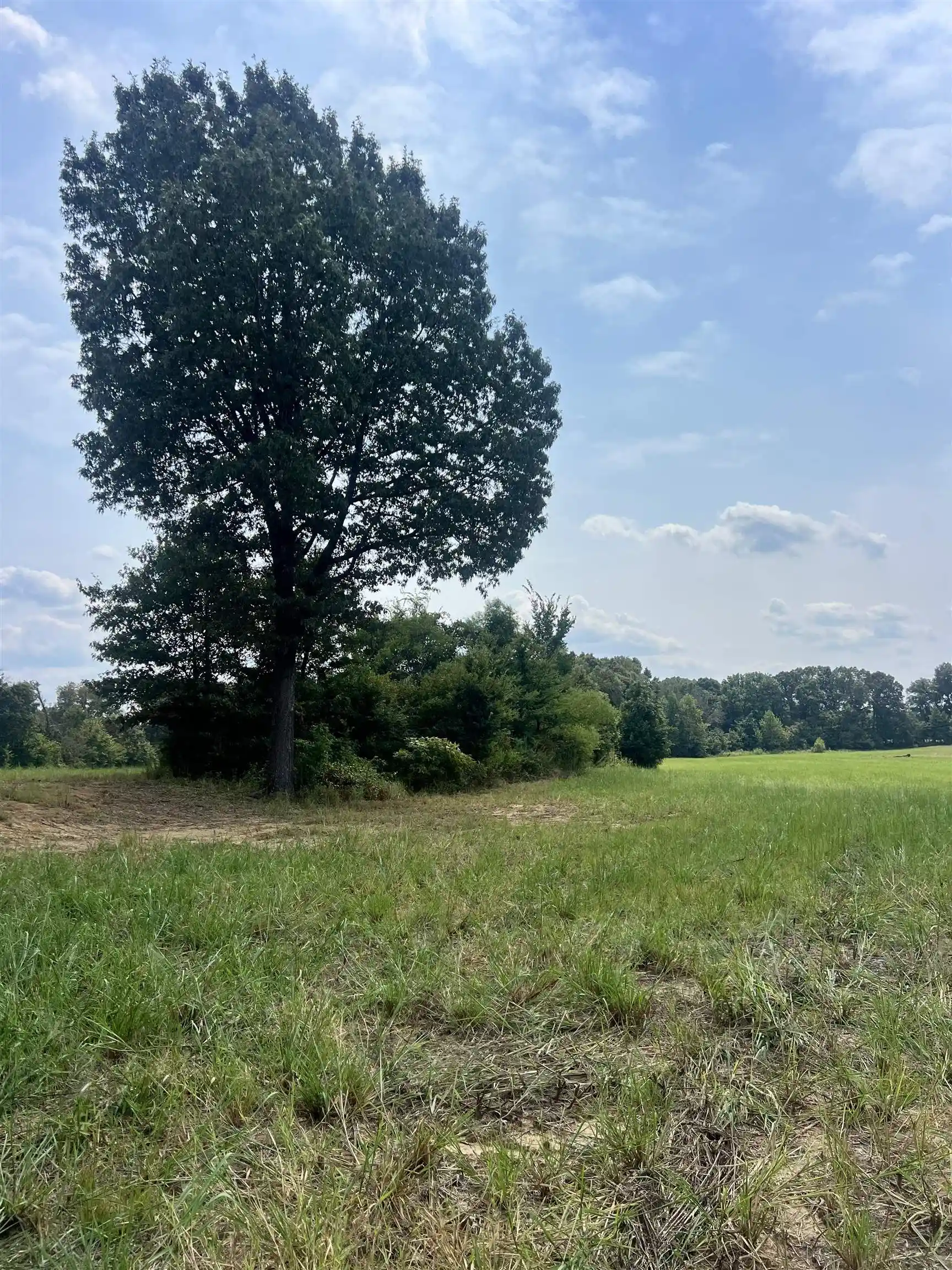 Photo 1 of Land for sale at Tract 7 Andrew Rd, Mason, TN 38049 | MLS# 10232997 | Listing updated on 2026-10-22