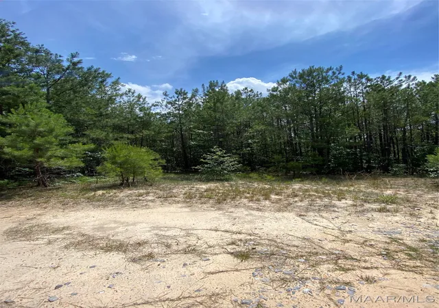 1st image of 0 Hwy 143, Marbury, AL 36051 | MLS# 518887
