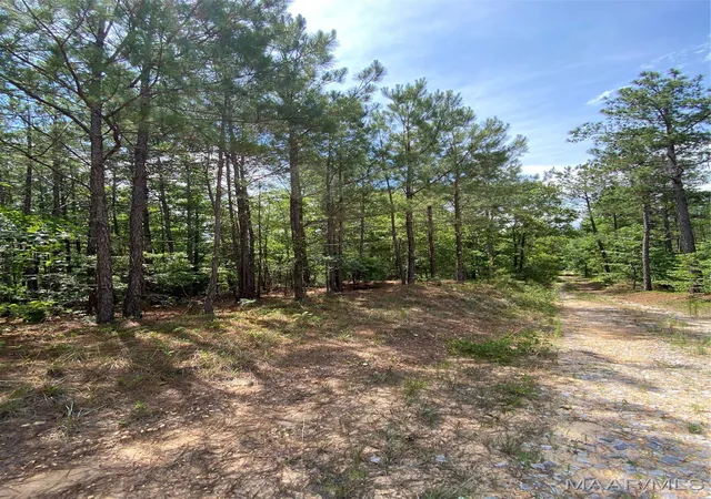 Photo 3 of Land for sale at 0 Hwy 143, Marbury, AL 36051 | MLS# 518887 | Listing updated on 2026-08-28