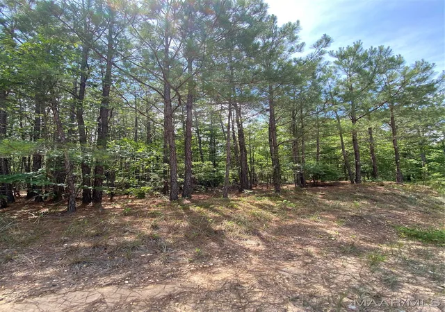 4th image of 0 Hwy 143, Marbury, AL 36051 | MLS# 518887