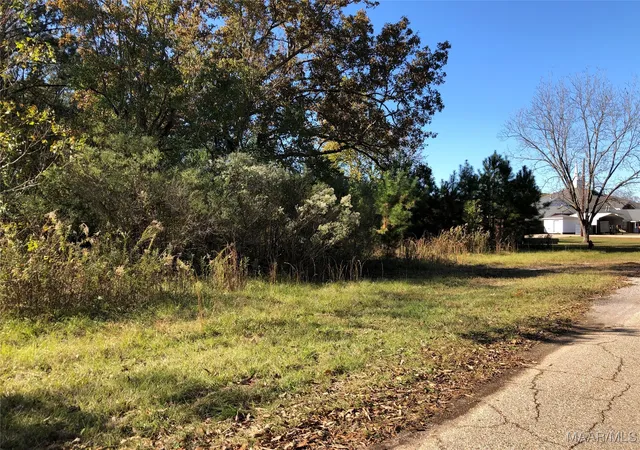 16th image of 0 Hwy 43 N, Thomasville, AL 36784 | MLS# 524964