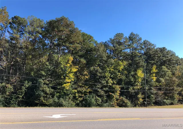 5th image of 0 Hwy 43 N, Thomasville, AL 36784 | MLS# 524964