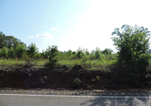 Photo 2 of Land for sale at 1 White Oak Way, Greenville, AL 36037 | MLS# 541581 | Listing updated on 2026-08-25