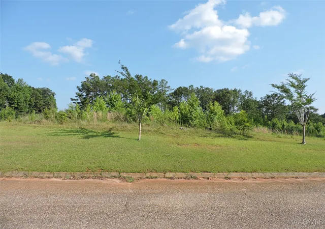 Photo 3 of Land for sale at 1 White Oak Way, Greenville, AL 36037 | MLS# 541581 | Listing updated on 2026-08-25