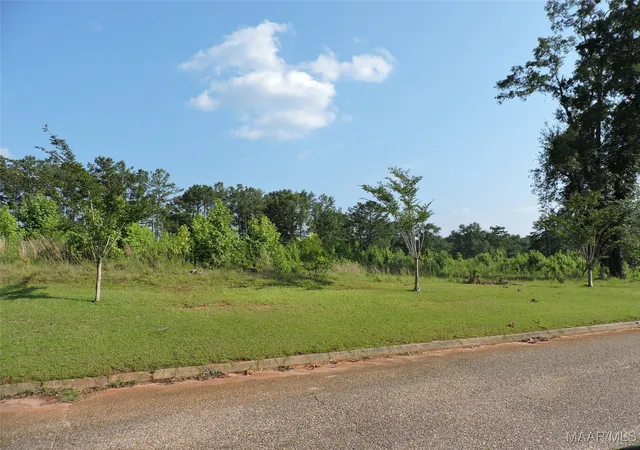 Photo 3 of Land for sale at 1 White Oak Way, Greenville, AL 36037 | MLS# 541581 | Listing updated on 2026-08-25