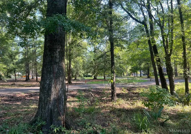Homes for sale in Cecil, AL | 1506 Barganier Rd, Cecil, AL 36013 | MLS# 543783