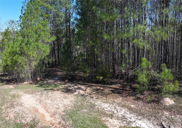 16th image of 1 Ridgedale Ln #2, Deatsville, AL 36022 | MLS# 554082