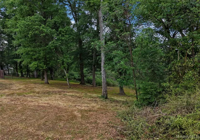 Photo 3 of Land for sale at 1611 Dominick Rd, Prattville, AL 36067 | MLS# 558418 | Listing updated on 2026-08-20
