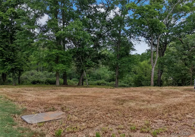 Photo 3 of Land for sale at 1611 Dominick Rd, Prattville, AL 36067 | MLS# 558418 | Listing updated on 2026-08-20