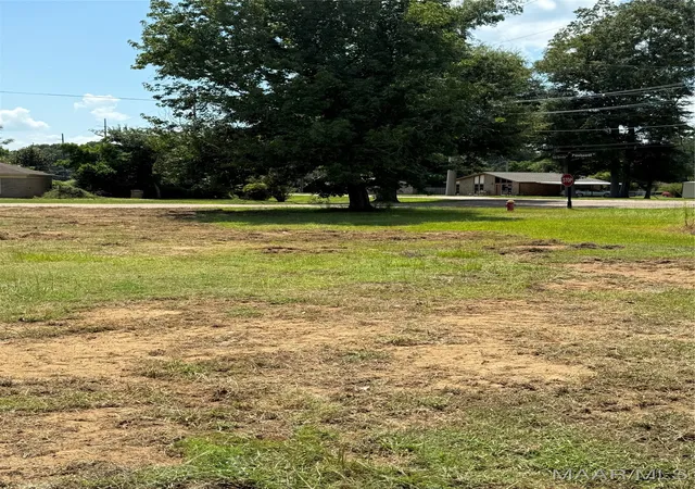 3rd image of 101 Pinehaardt Dr, Selma, AL 36701 | MLS# 561465
