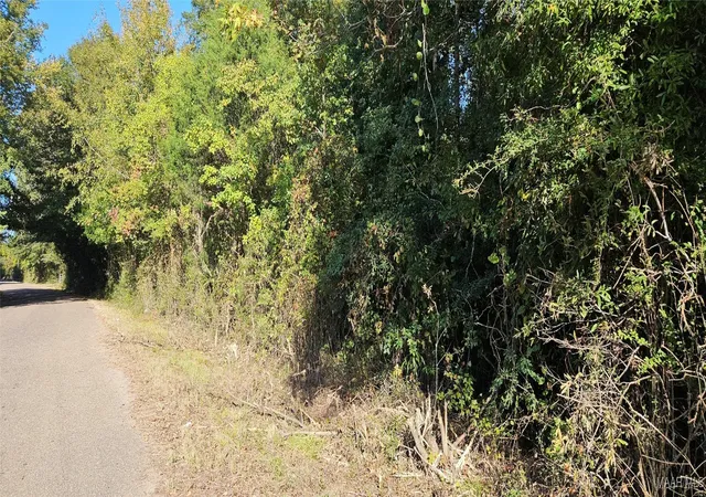 5th image of 0000 Hayneville Rd, Montgomery, AL 36108 | MLS# 566796