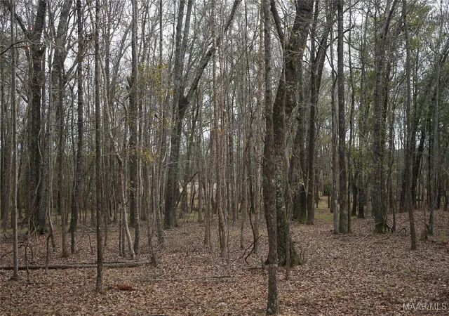 Photo 3 of Land for sale at 2434 Peake Rd, Ramer, AL 36069 | MLS# 568717 | Listing updated on 2026-08-28