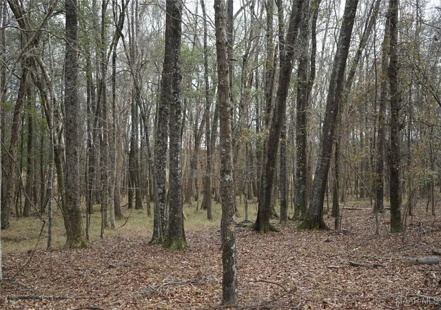 Photo 3 of Land for sale at 2434 Peake Rd, Ramer, AL 36069 | MLS# 568717 | Listing updated on 2026-08-28