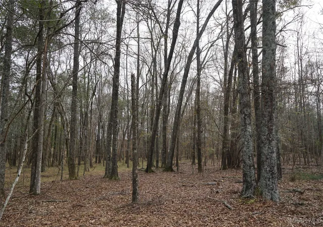 Photo 4 of Land for sale at 2434 Peake Rd, Ramer, AL 36069 | MLS# 568717 | Listing updated on 2026-08-28