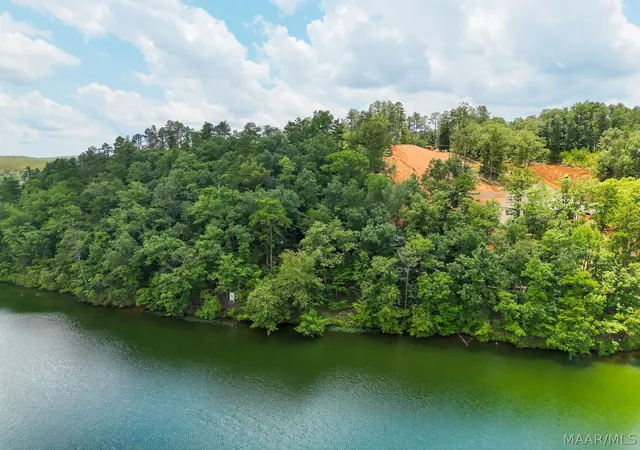5th image of 0 Preserve Cir #Lot 10, Rockford, AL 35136 | MLS# 572177