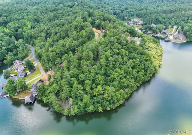 2nd image of 0 Preserve Cir #Lot 12, Rockford, AL 35136 | MLS# 572183