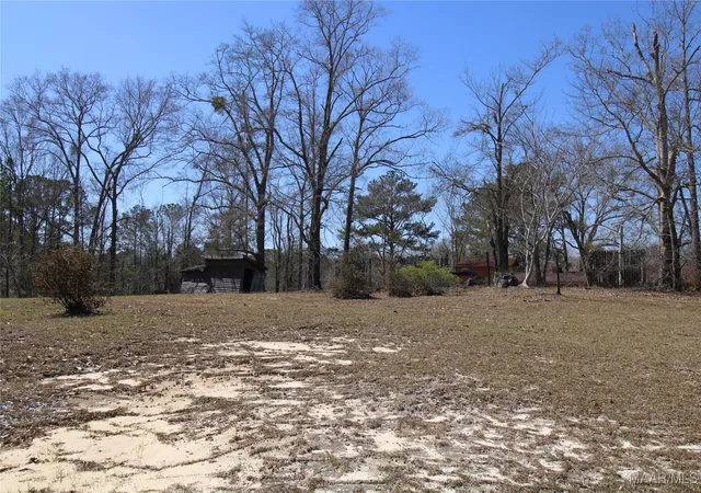 Photo 2 of Land for sale at 118 Widgeon Ln, Grady, AL 36036 | MLS# 572060 | Listing updated on 2026-08-28