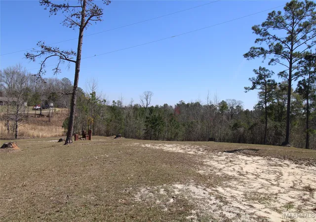 Photo 3 of Land for sale at 118 Widgeon Ln, Grady, AL 36036 | MLS# 572060 | Listing updated on 2026-08-28
