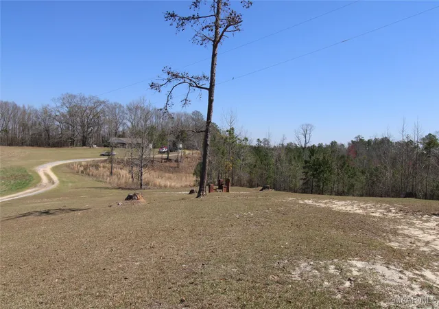 Photo 3 of Land for sale at 118 Widgeon Ln, Grady, AL 36036 | MLS# 572060 | Listing updated on 2026-09-22