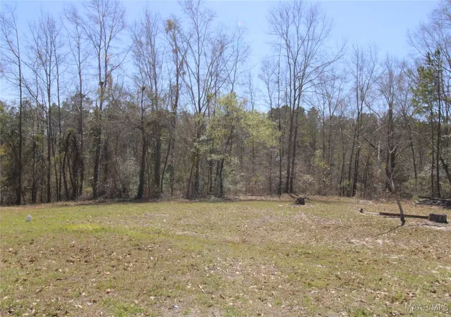 Photo 4 of Land for sale at 118 Widgeon Ln, Grady, AL 36036 | MLS# 572060 | Listing updated on 2026-09-22