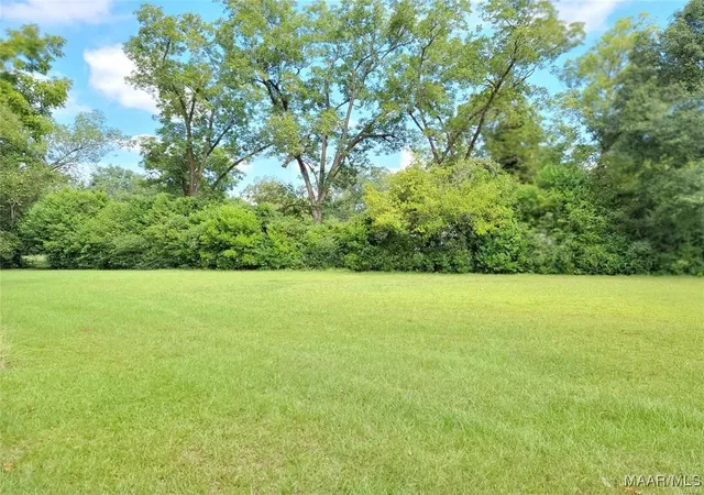 9th image of 344 Depot St, Midway, AL 36053 | MLS# 572490