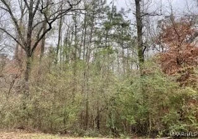 1st image of Lot 43 Althea Loop, Alexander City, AL 35010 | MLS# 574091
