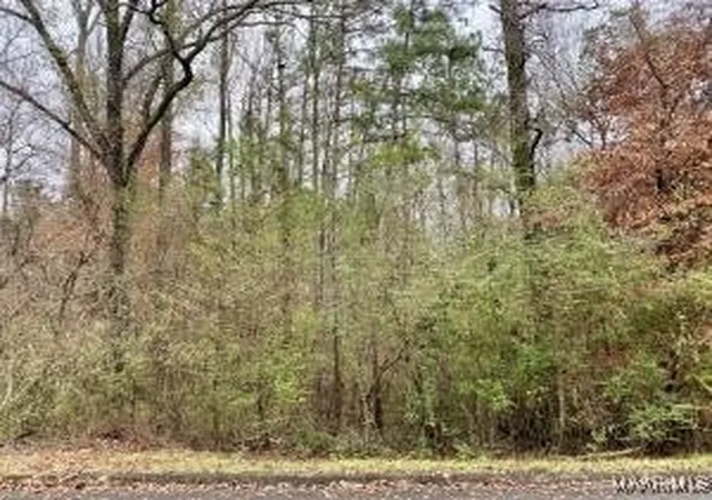 2nd image of Lot 43 Althea Loop, Alexander City, AL 35010 | MLS# 574091