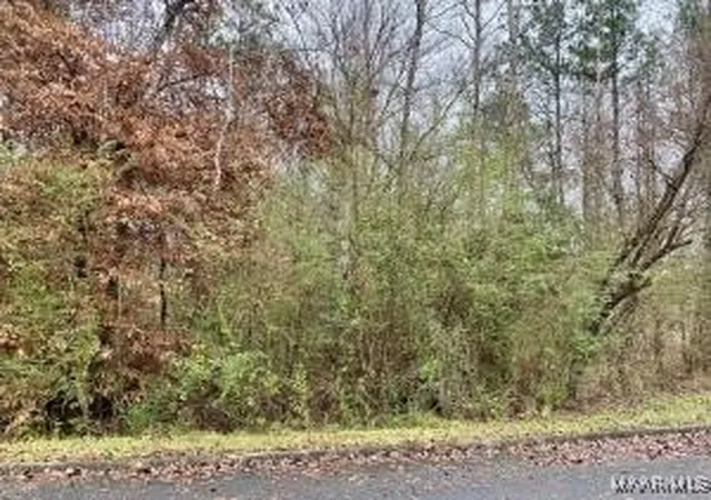 3rd image of Lot 43 Althea Loop, Alexander City, AL 35010 | MLS# 574091