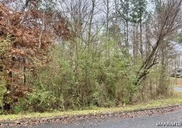 4th image of Lot 43 Althea Loop, Alexander City, AL 35010 | MLS# 574091