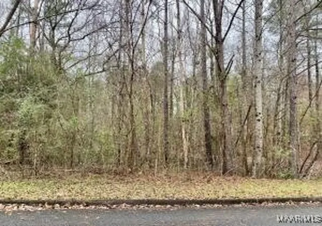 5th image of Lot 43 Althea Loop, Alexander City, AL 35010 | MLS# 574091