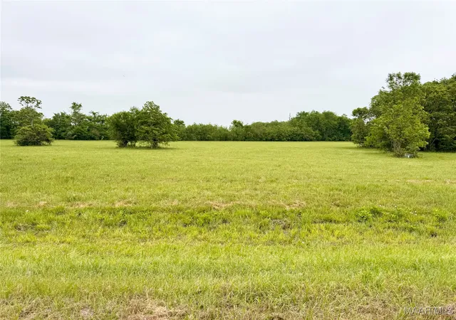 Homes for sale in Pike Road, AL | 180 Meriwether Tr, Pike Road, AL 36064 | MLS# 575708