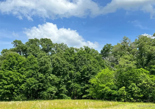 2nd image of 4209 Marler Rd, Pike Road, AL 36064 | MLS# 575806