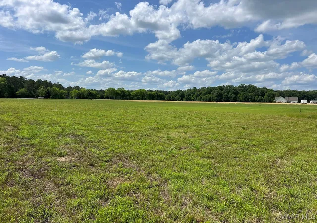 4th image of 4209 Marler Rd, Pike Road, AL 36064 | MLS# 575806