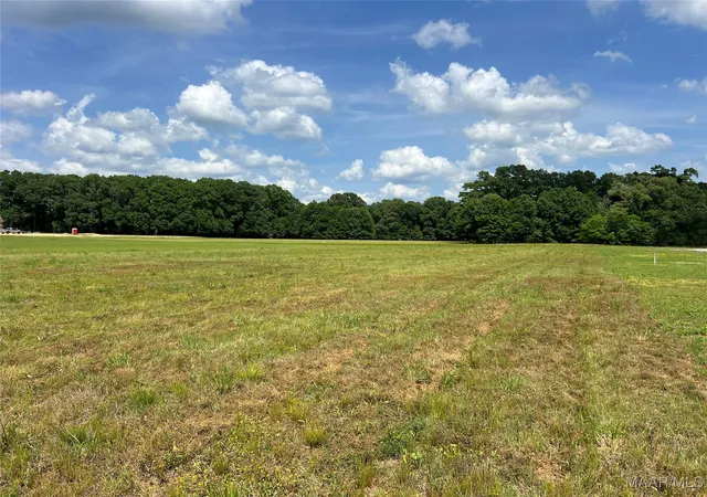 5th image of 4209 Marler Rd, Pike Road, AL 36064 | MLS# 575806