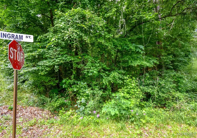 Homes for sale in Tallassee, AL | 0 Noble Rd, Tallassee, AL 36078 | MLS# 576173