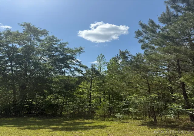 1st image of 0 Bonnie Blue Rd, Prattville, AL 36067 | MLS# 576228