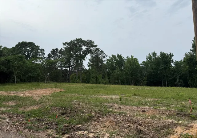 1st image of 658 Nichols Ave, Eclectic, AL 36024 | MLS# 576239