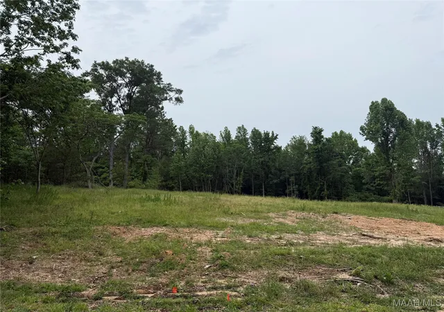 1st image of 638 Nichols Ave, Eclectic, AL 36024 | MLS# 576240