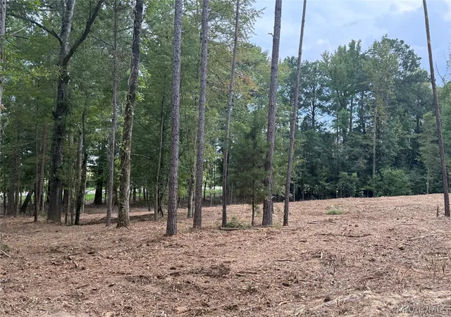 21st image of 2011 Central Plank Rd, Wetumpka, AL 36092 | MLS# 577174