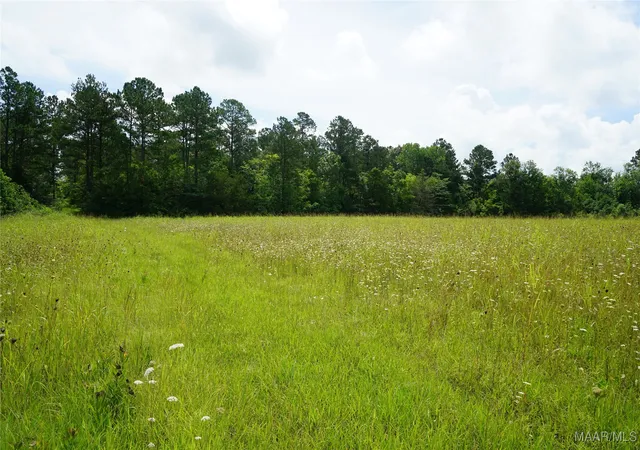 2nd image of 640 Barnes Rd, Pike Road, AL 36064 | MLS# 577443