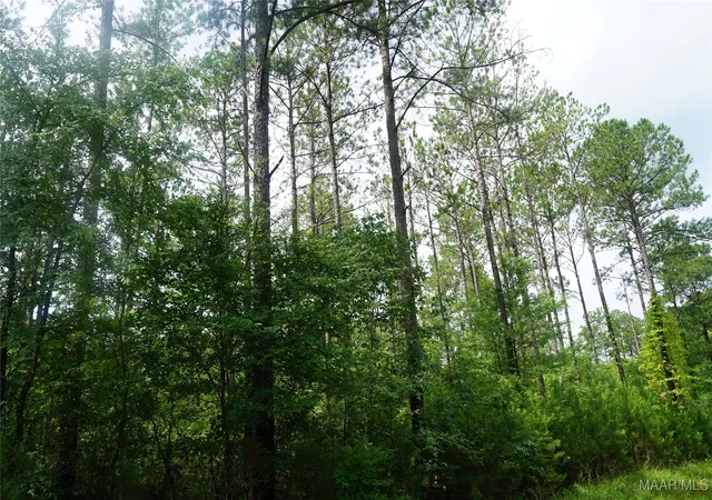 3rd image of 640 Barnes Rd, Pike Road, AL 36064 | MLS# 577443